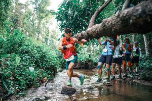 BIB: 
                            <button type="button" onclick="openModal(25370352)" class="btn btn-primary btn-sm float-right btn-popup" data-toggle="modal" data-target=".modal-high-quality">
                        <i class="fas fa-shopping-cart"></i> Add to Cart
                    </button>
                                            <button type="button" onclick="isThisMe(25370352, true)" class="btn btn-success btn-sm float-right btn-popup btn-isme hidden" data-toggle="tooltip" data-placement="bottom" title="นี่คือรูปของคุณใช่ไหม คลิกที่นี่เพื่อเอาเข้าอัลบั้ม">
                        <i class="fas fa-plus"></i> Add to album
                    </button>
                    <button type="button" onclick="isThisMe(25370352, false)" class="btn btn-warning btn-sm float-right btn-popup btn-isnotme hidden">
                        <i class="fas fa-ban"></i> Remove from album
                    </button>